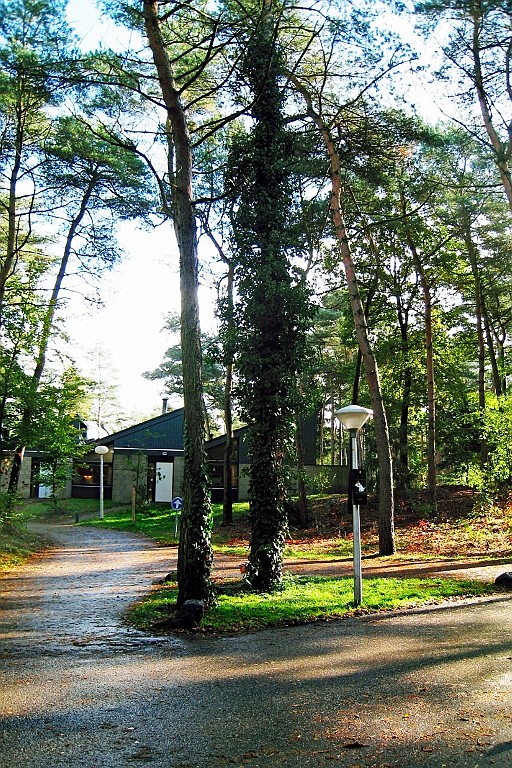 Vennenbos (29).jpg